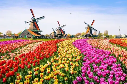 To nejlepší z Nizozemska - květinový park Keukenhof a Amsterdam