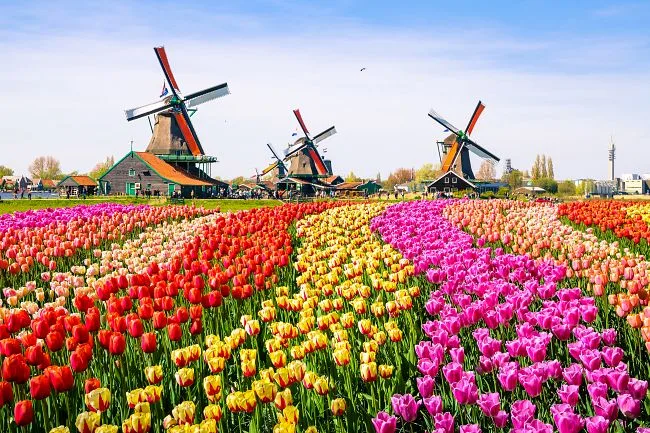 To nejlepší z Nizozemska - květinový park Keukenhof a Amsterdam