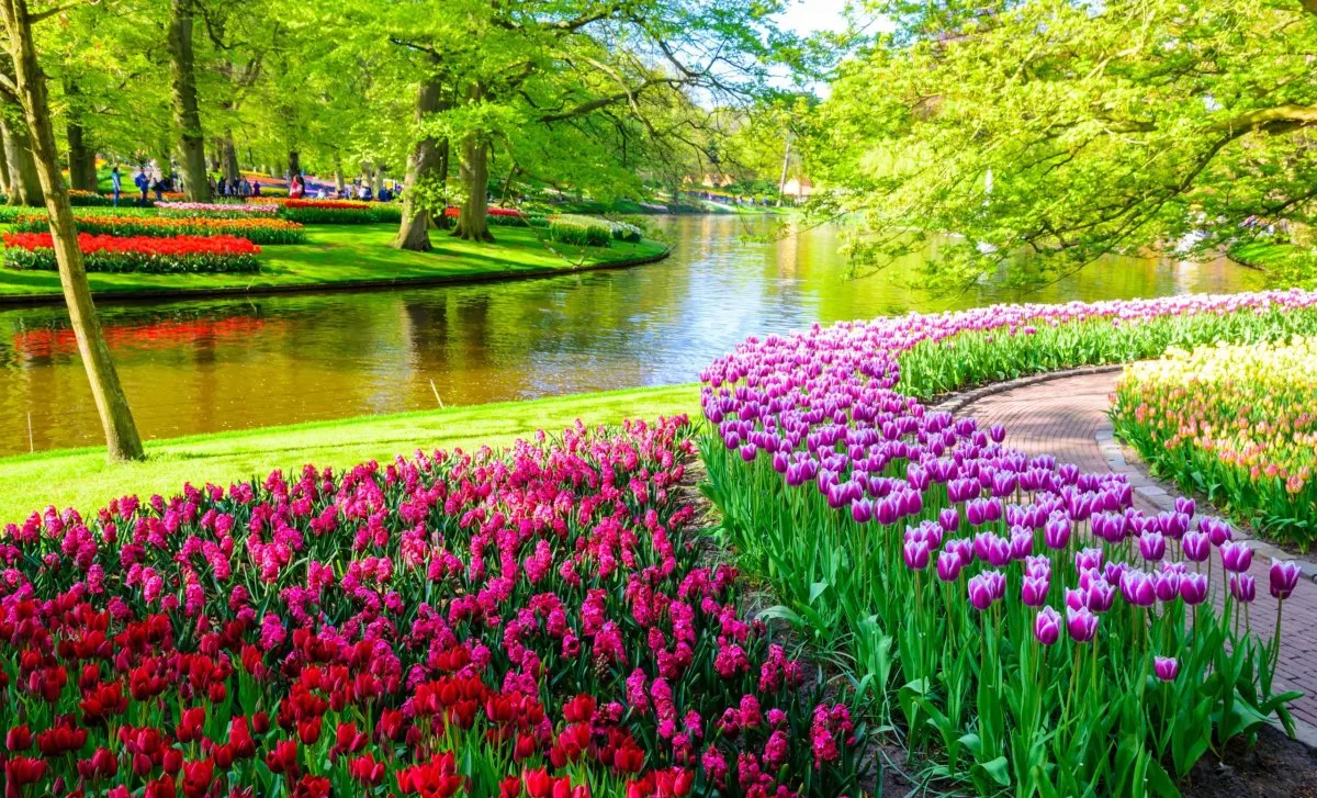 To nejlepší z Nizozemska - květinový park Keukenhof a Amsterdam - fotografie 9