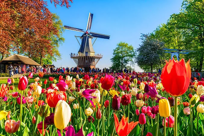To nejlepší z Nizozemska - květinový park Keukenhof a Amsterdam - fotografie 11