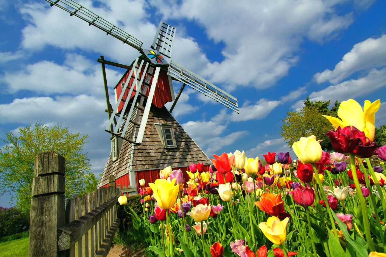 To nejlepší z Nizozemska - květinový park Keukenhof a Amsterdam - fotografie 13